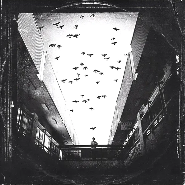 Black Birds — Brokenfinga